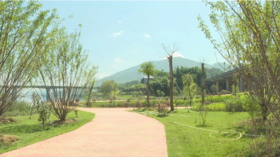 梅县区人大常委会组织开展农村人居环境整治提升工作情况专题视察