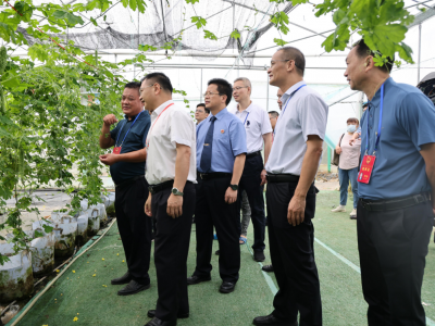 梅江区人大常委会开展检察公益诉讼工作专题调研