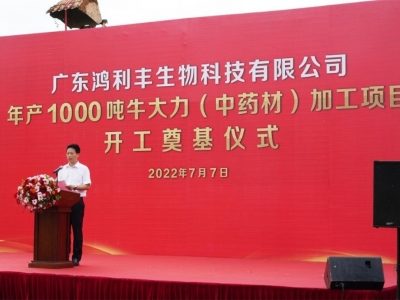年产1000吨！广东鸿利丰全产业链牛大力加工项目开工奠基