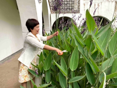 委员风采丨市政协委员郑春桃：乡愁满溢禾肚里 “宿”造美好结春桃