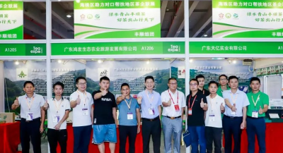 绿水青山丰顺茶  好茶出山行天下！丰顺组团参加广州茶博会