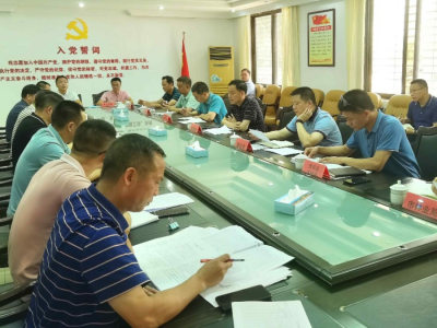 洪国华到龙田、叶塘镇调研：分工协作挂图作战，加快推进水田垦造、复耕复种等工作