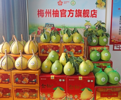 梅州召开2022年梅州柚市场营销和品牌建设专题研究会：持续发力 擦亮梅州柚“金字招牌”
