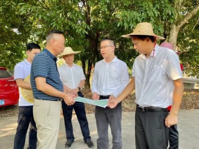 罗达祥到丰顺县汤西镇、埔寨镇督导检查垦造水田和撂荒地复耕复种工作