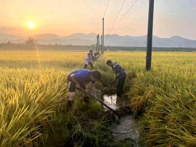 蕉岭这群党员干部带头清理排圳，为粮食安全保驾护航！