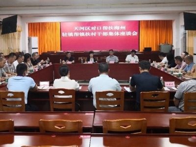 天河区委组织部到兴宁开展乡村振兴及驻镇帮镇扶村专项调研
