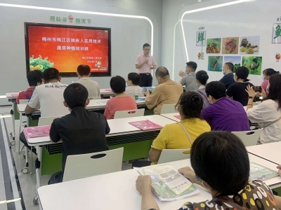 梅江区残联举办残疾人蔬菜种植培训班