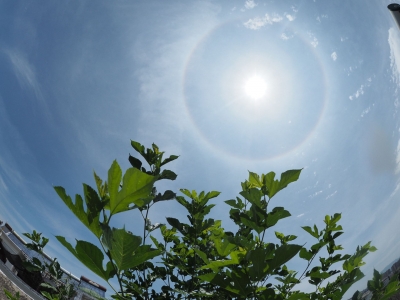 梅州热“晴”虽迟但到！38℃高温将出现在7月24日前后