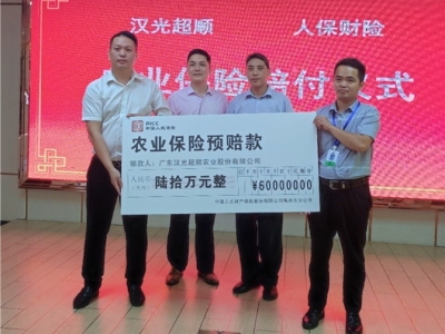 预赔付520万元！保险保障助力我市受强降雨影响损失较严重种植户尽快复产