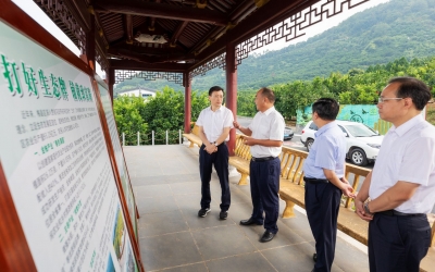 马正勇调研农业和乡村振兴工作：把抓发展贯穿到乡村振兴全过程各方面