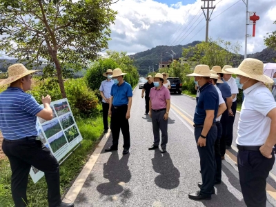 市人大常委会调研督办代表重点建议：推进复耕复种 保障粮食安全