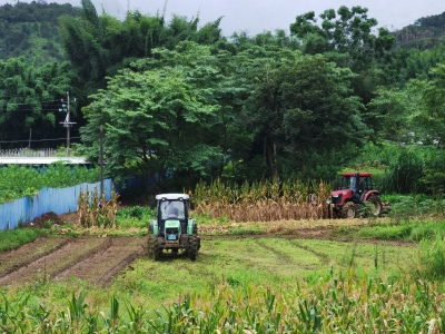 共谱丰收曲！梅县区水车镇全力推进撂荒地复耕复种
