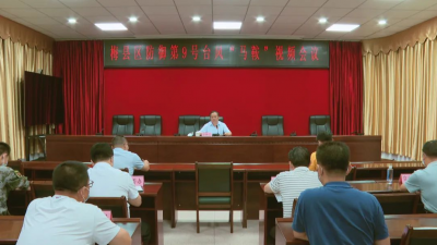 梅县区组织收看收听省、市三防工作电视电话会议