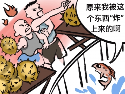 漫话丨摊主斗气扔榴莲 