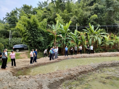 梅县区桃尧镇人大组织人大代表开展撂荒地整治工作专题调研