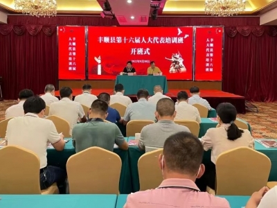 “请进来+走出去+沉下力”！丰顺多措并举提升县镇人大代表履职水平