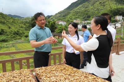 黄增国到大埔大麻、银江、洲瑞镇调研乡村振兴工作