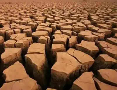 欧盟称欧洲或遭遇500年来最严重干旱