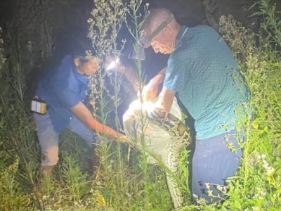  吓出冷汗！五华一村民家中惊现二三十斤重的大蟒蛇…