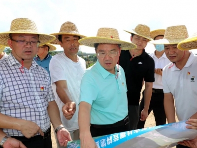 朱少辉率队调研五华撂荒复耕等工作