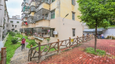 内实外美兼修，打造宜居家园！丰顺县城老城区升级改造“改”到百姓心坎上