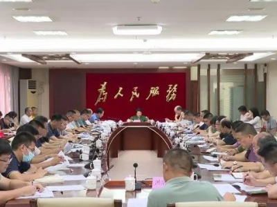 大埔县召开重大工程建设项目总指挥部重点项目专题调度会暨县并联审批工作专班会商会议