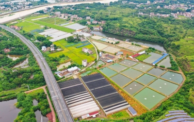 出“硬”招，有“钱”途！今年以来五华共完成撂荒耕地复耕面积11.75万亩 