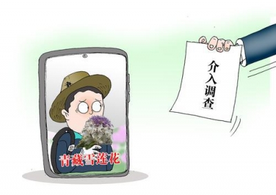 漫话丨“狼”摘“水母雪兔子”