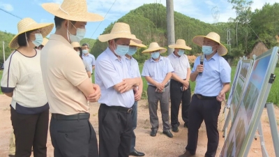梅县区人大常委会开展专题调研：扛起政治责任 守住耕地保护红线