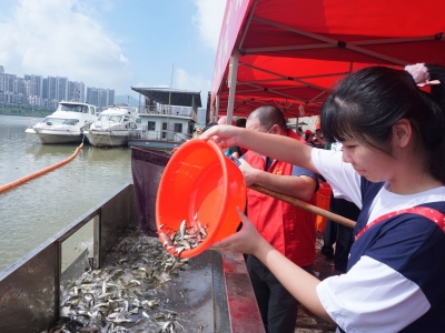 300万尾鱼苗奔流入河！今日，梅江河又添新生机→