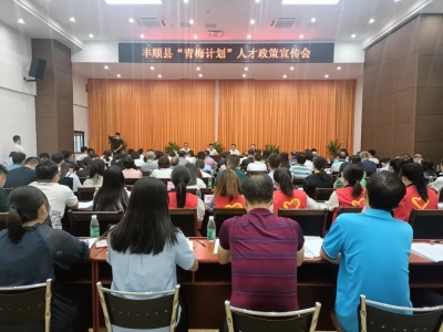 丰顺县“青梅计划”人才政策宣传活动：传递政策“干货” 助力招才引智