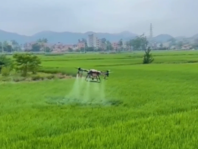 五华：打好农业生产托管“组合拳” 农民种粮有盼头