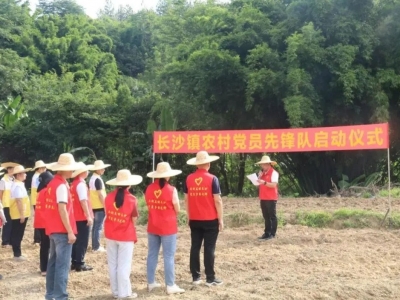 长沙镇开展农村党员先锋队启动仪式暨复耕复种志愿活动