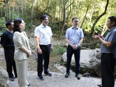 黄增国到大埔茶阳镇调研基层党建和乡村振兴工作：强化党建引领 以组织振兴推动乡村全面振兴