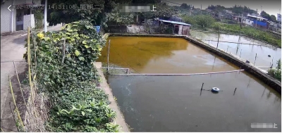 梅州电信AI智能摄像头架起空中防溺“安全网”