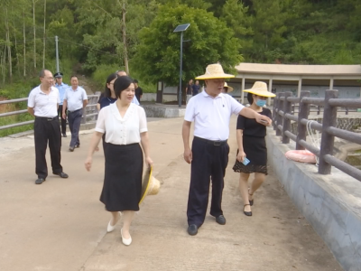 梅州市检查组到蕉岭督导检查预防学生溺水工作