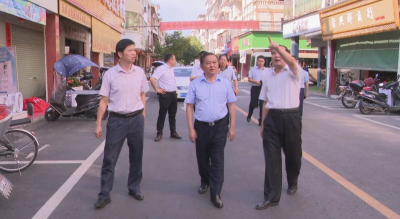 温助民率队调研美丽圩镇建设：聚力打造“环境美、产业兴、设施齐、群众乐”的美丽圩镇