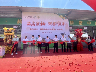 新一年，Nice to 蜜柚！粤东顺丰•梅州柚物流集散中心启动