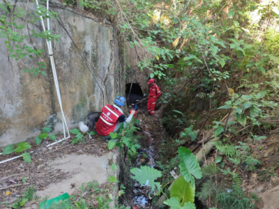 85岁老人独自回老家后失联！救援队数天连续搜救，遗憾的是…