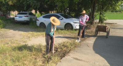 梅县区：示范“带”动人居环境整治 激发乡村振兴“新活力”