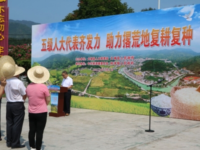 大埔县开展“五级人大代表齐发力 助力撂荒地复耕复种”活动