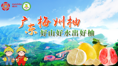 “柚”来啦！9月2日起，梅州柚将亮相央视二套！