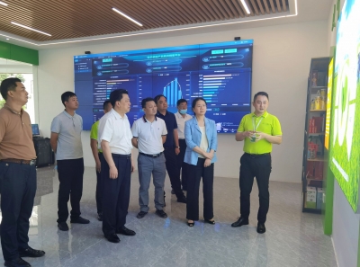 叶梅芬来梅开展工作调研：搭好助农平台 加快项目建设