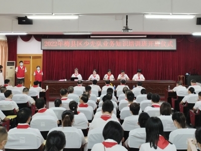 2022年梅县区少先队业务知识培训班开班