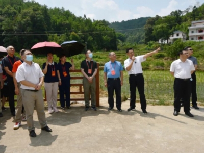 梅州市全国、省人大代表到兴宁市开展专题调研工作
