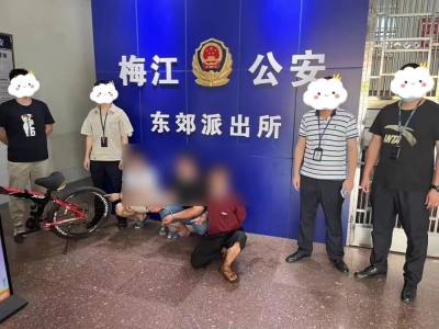 3人“组团”盗窃，作案13宗，被一窝端！