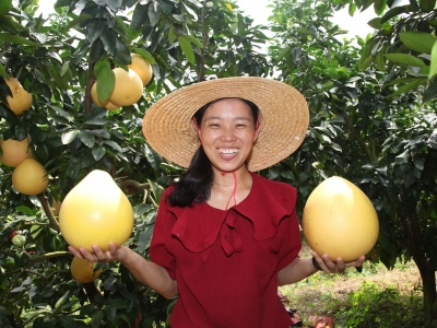 农业+快递！这场合作助力梅州农特产品搭上“电商快车”