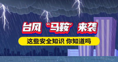 V视丨台风天如何做好防御？这条动画教你科学防御风雨！