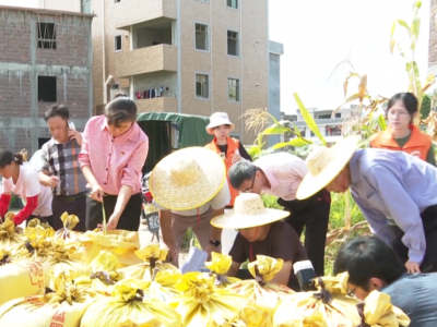 趁着“三夏”去复耕！五华县压实发展“压舱石”