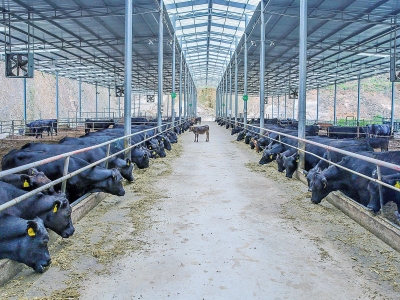 梅州这22家养殖单位，入选“广东省畜禽养殖标准化示范场”！